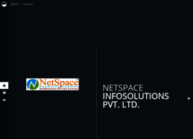 Netspaceinfosolutions.com thumbnail