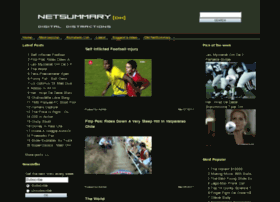 Netsummary.dk thumbnail