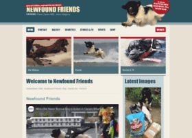 Newfoundfriends.co.uk thumbnail