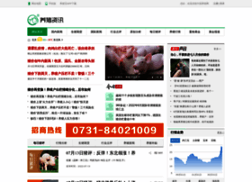 News.zhuwang.cc thumbnail