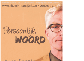 Nitb.nl thumbnail