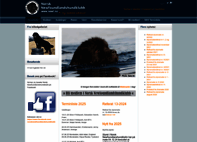 Nnk-newf.com thumbnail