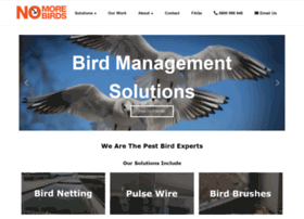 Nomorebirds.co.nz thumbnail