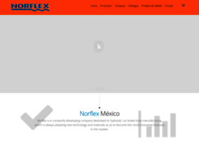Norflexmexico.com thumbnail