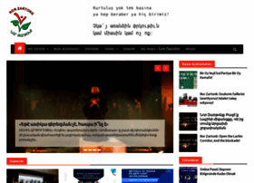Norzartonk.org thumbnail