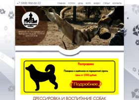 Nsdog.ru thumbnail