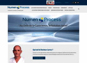 Numenprocess.fr thumbnail