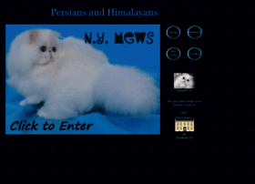 Nymews.com thumbnail