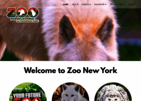 Nyszoo.org thumbnail