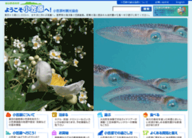 Ogasawaramura.com thumbnail