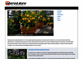 Ogorod.guru thumbnail