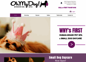 Ohmydogdaycare.com thumbnail