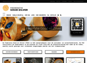 Ondernemers.fgz.nl thumbnail