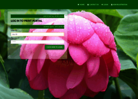 Onlineprintportal.in thumbnail