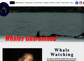 Orcasislandwhales.com thumbnail