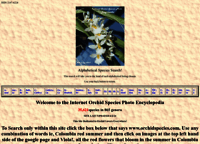 Orchidspecies.com thumbnail