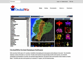 Orchidwiz.com thumbnail