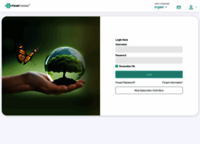 Orumedia.orumarketplace.com thumbnail