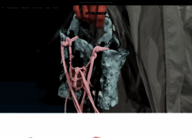 Ottolinger.com thumbnail