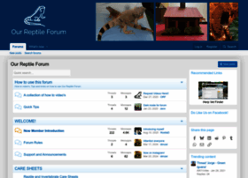 Ourreptileforum.com thumbnail