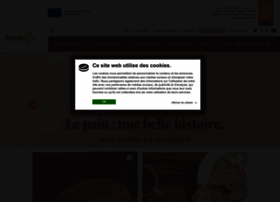 Painetsante.be thumbnail
