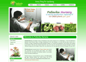 Pallavikanursery.com thumbnail