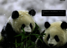 Pandaconspiracy.com thumbnail