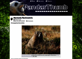 Pandasthumb.org thumbnail