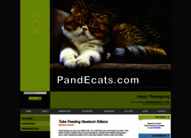 Pandecats.com thumbnail