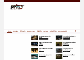 Pasusat.com thumbnail