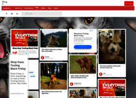 Pawinterest.com thumbnail