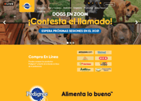 Pedigree.com.mx thumbnail Pedigree.com.mx thumbnail