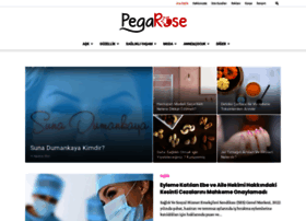 Pegarose.com thumbnail