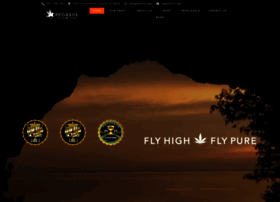 Pegasusmichigan.com thumbnail