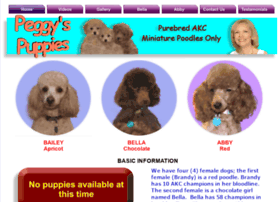 Peggyspuppies.net thumbnail