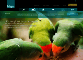 Pelagos.com.tr thumbnail