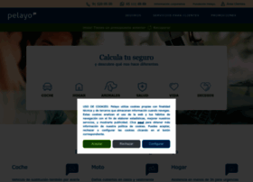 Pelayonex.com thumbnail