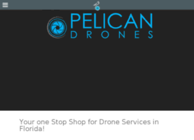 Pelicandrones.com thumbnail