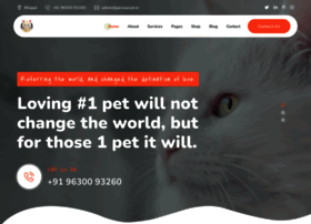 Persiancat.in thumbnail Persiancat.in thumbnail