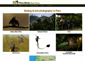 Perubirds.org thumbnail