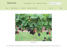 Petalsfromthepast.com thumbnail