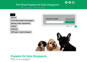 Petshoppuppiesforsalesingapore.com thumbnail