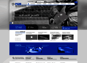 Pgminspection.com thumbnail