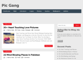 Picgang.com thumbnail