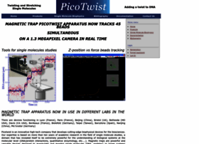 Picotwist.com thumbnail Picotwist.com thumbnail