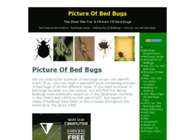 Pictureofbedbugs.com thumbnail