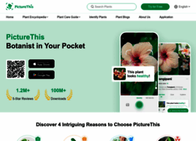 Picturethisai.com thumbnail