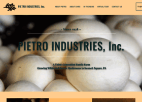 Pietroindustries.com thumbnail