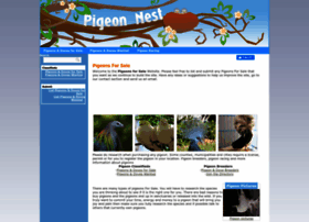Pigeons-forsale.com thumbnail
