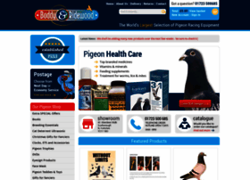 Pigeons.co.uk thumbnail Pigeons.co.uk thumbnail